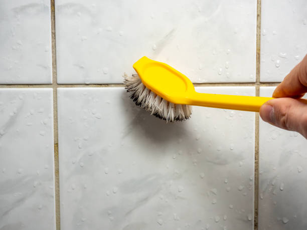 Best Mold Testing  in Mayville, ND