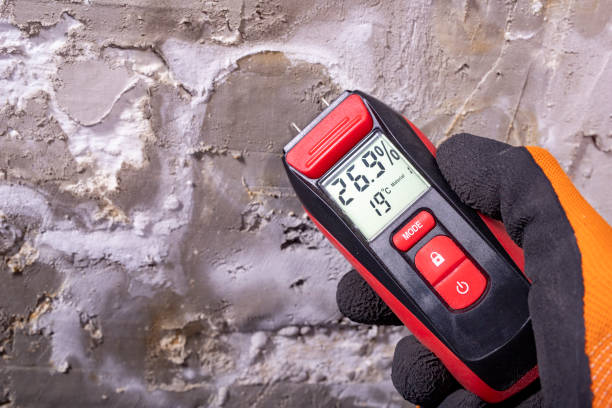 Best Attic Mold Removal  in Mayville, ND