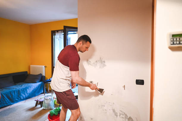 Certified Mold Removal in Mayville, ND