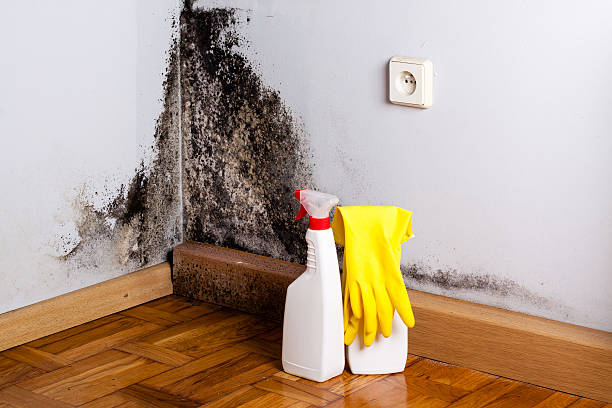 Water Damage Restoration in Mayville, ND